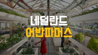 네덜란드
어반파머스
 