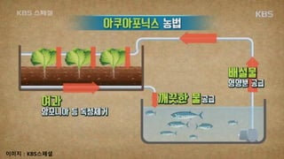 이미지 : KBS스페셜
 