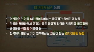 • 어반파머스 건물 6층 양어장에서는 물고기가 양식되고 있음
• 작물을 재배하면서 생기는 물은 물고기 양식을 사용되고 물고기의
배설물을 식물의 거름이 됨
• 한쪽에서 버리는 것이 한쪽에서는 자원이 되는 리사이클링 농법
 