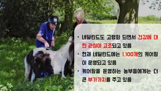 • 네덜란드도 고령화 되면서 건강에 대
한 관심이 고조되고 있음
• 현재 네덜란드에는 1,100개의 케어팜
이 운영되고 있음
• 케어팜을 운영하는 농부들에게는 더
큰 부가가치를 주고 있음
 