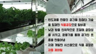 • 반도체를 만들던 공간을 최첨단 기술
을 탑재한 식물공장으로 탈바꿈
• 낮과 밤을 인위적으로 조절해 광합성
을 시키고, 환풍기를 통해 공기의 흐
름을 만들어냄
• 자체 개발한 시스템으로 식물 공장은
자동 제어됨
 
