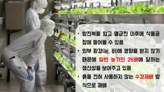 • 방진복을 입고 멸균한 이후에 식물공
장에 들어올 수 있음
• 외부 환경(눈, 비)에 영향을 받지 않기
때문에 일반 농가의 25배에 달하는
생산성을 보여주고 있음
• 흙을 전혀 사용하지 않는 수경재배 방
식으로 재배
 