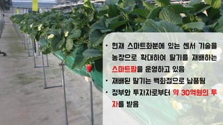 • 현재 스마트화분에 있는 센서 기술을
농장으로 확대하여 딸기를 재배하는
스마트팜을 운영하고 있음
• 재배된 딸기는 백화점으로 납품됨
• 정부와 투자자로부터 약 30억원의 투
자를 받음
 