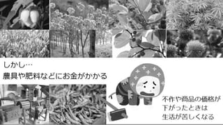 ũΉ仯Ȱһθߤޤꡡϰ饤
