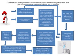 Семей ядролық сынақ полигонында ядролық сынақтардың салдарынан зардап шеккен азаматтарды
тіркеу, біржолғы мемлекеттік ақшалай өтемақы төлеу, куәлік беру
ХҚКО (Мемлекеттік
корпорация)
Түскен өтінішті тіркеп,
көрсетілетін қызметті
алушыға Стандарттың
көрсетілген құжаттардың
қабылданғаны жөнінде
қолхат береді де
қабылданған құжаттарды
Мемлекеттік
корпорацияның
жинақтаушы секторына
жөнелтеді
Сол жұмыс күні
құжаттарды
көрсетілетін
қызметті берушіге
жөнелтеді
Көрсетілетін
қызметті берушінің
уәкілетті
қызметкері
Түскен құжаттарды тіркеп,
көрсетілетін қызмет
нәтижесінің жобасын
Стандарттың белгіленген
мерзімде дайындайды және
көрсетілетін қызметті берушінің
басшылығына қол қоюға
жолдайды
30-минут ішінде
көрсетілетін қызмет
нәтижесіне қол қойып,
көрсетілетін қызметті
берушінің уәкілетті
қызметкеріне жолдайды
Көрсетілетін
қызметті
берушінің
уәкілетті
қызметкері
10-минут ішінде көрсетілетін
қызметтің нәтижесін тіркейді және
Мемлекеттік корпорацияға
жөнелтеді
Көрсетілетін қызметті
алушыға мемлекеттік
көрсетілетін қызмет
нәтижесін табыстайды
Шымкент қаласының
жұмыспен қамту және
әлеуметтік бағдарламалар
бөлімі
 