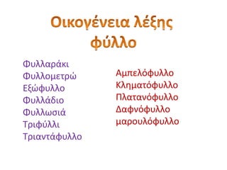 Φυλλαράκι
Φυλλομετρώ
Εξώφυλλο
Φυλλάδιο
Φυλλωσιά
Τριφύλλι
Τριαντάφυλλο
Αμπελόφυλλο
Κληματόφυλλο
Πλατανόφυλλο
Δαφνόφυλλο
μαρουλόφυλλο
 