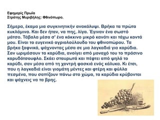 Εφημερίς Πρωϊα
Στράτης Μυριβήλης: ΦθινόπӬο.
Σήμερα, έκαμα μια συγκινητικήν ανακάλυψι. Βρήκα τα πρώτα
κυκλάμινα. Και δεν ήταν, να πης, λίγα. Έγιναν ένα σωστό
μάτσο. Τάβαλα μέσα σ' ένα κόκκινο μικρό κανάτι και τάχω κοντά
μου. Είναι το ευγενικό αγριολούλουδο του φθινοπώρου. Τα
βρήκα ξαφνικά, ψάχνοντας μέσα σε μια λαγκαδιά για καρύδια.
Σαν ωριμάσουν τα καρύδια, ανοίγει από μοναχό του το πράσινο
καρυδότσουφλο. Σκάει σταυρωτά και πέφτει από ψηλά το
καρύδι, σαν μέσα από τη χοντρή φασκιά ενός κάλυκα. Κι έτσι,
που η λαγκαδιά είναι γιομάτη μέντες και φτέρη και φύλλα
πεσμένα, που σαπίζουν πάνω στο χώμα, τα καρύδια κρύβονται
και ψάχνεις να τα βρης.
 