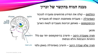 ‫של‬ ‫בהקשר‬ ‫המוח‬ ‫מבנה‬‫זכרון‬
‫התלמוס‬–‫קולט‬‫מהחושים‬ ‫המידע‬ ‫את‬‫ומעבירו‬‫לעיבוד‬
‫האמיגדלה‬–‫מעובדים‬ ‫לא‬ ‫רגשות‬ ‫ומאחסנת‬ ‫מעבדת‬
‫ההיפוקמפוס‬–‫מאחסן‬‫זכרונות‬‫מעובדים‬‫לטווח‬‫הארוך‬
‫מכאן‬:
‫היטב‬ ‫שעובדה‬ ‫חוויה‬–‫כלל‬ ‫עם‬ ‫יחד‬ ‫בהיפוקמפוס‬ ‫תיצרב‬
‫נעימות‬ ‫והלא‬ ‫הנעימות‬ ‫החוויות‬
‫היטב‬ ‫עובדה‬ ‫שלא‬ ‫חוויה‬–‫תיצרב‬‫באמיגדלה‬‫גלמי‬ ‫באופן‬‫המוח‬ ‫גזע‬
‫דגן‬ ‫תמר‬-‫בכירה‬ ‫חינוכית‬ ‫פסיכולוגית‬
 