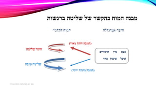 ‫ברגשות‬ ‫שליטה‬ ‫של‬ ‫בהקשר‬ ‫המוח‬ ‫מבנה‬
‫דגן‬ ‫תמר‬-‫בכירה‬ ‫חינוכית‬ ‫פסיכולוגית‬
 