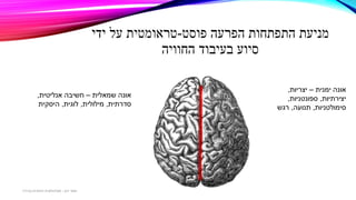 ‫פוסט‬ ‫הפרעה‬ ‫התפתחות‬ ‫מניעת‬-‫ידי‬ ‫על‬ ‫טראומטית‬
‫החוויה‬ ‫בעיבוד‬ ‫סיוע‬
‫ימנית‬ ‫אונה‬–‫יצריות‬,
‫יצירתיות‬,‫ספונטניות‬,
‫סימולטניות‬,‫תנועה‬,‫רגש‬
‫שמאלית‬ ‫אונה‬–‫אנליטית‬ ‫חשיבה‬,
‫סדרתית‬,‫מילולית‬,‫לוגית‬,‫היסקית‬
‫דגן‬ ‫תמר‬-‫בכירה‬ ‫חינוכית‬ ‫פסיכולוגית‬
 