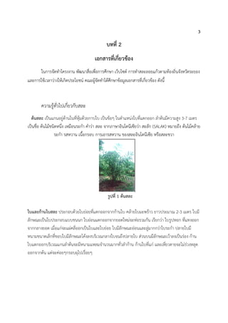 3
บทที่ 2
เอกสารที่เกี่ยวข้อง
ในการจัดทาโครงงาน พัฒนาสื่อเพื่อการศึกษา เว็บไซต์ การทาสละลอยแก้วตามท้องถิ่นจังหวัดระยอง
และการใช้เวลาว่างให้เกิดประโยชน์ คณะผู้จัดทาได้ศึกษาข้อมูลเอกสารที่เกี่ยวข้อง ดังนี้
ความรู้ทั่วไปเกี่ยวกับสละ
ต้นสละ เป็นแกนอยู่ด้านในที่หุ้มด้วยกาบใบ เป็นข้อๆ ในตาแหน่งใบที่แตกออก ลาต้นมีความสูง 3-7 เมตร
เป็นชื่อ ต้นไม้ชนิดหนึ่ง เหมือนระกา คาว่า สละ จากภาษาอินโดนีเซียว่า สะลัก (SALAK) หมายถึง ต้นไม้คล้าย
ระกา รสหวาน เนื้อกรอบ การเอารสหวาน ของสละอินโดนีเซีย หรือสละชวา
รูปที่ 1 ต้นสละ
ใบและก้านใบสละ ประกอบด้วยใบย่อยที่แตกออกจากก้านใบ คล้ายใบมะพร้าว ยาวประมาณ 2-3 เมตร ใบมี
ลักษณะเป็นใบประกอบแบบขนนก ใบอ่อนแตกออกจากยอดใหม่จะห่อรวมกัน เรียกว่า ใบรูปหอก ที่แทงออก
จากกลางยอด เมื่อแก่จะแผ่คลี่ออกเป็นใบและใบย่อย ใบมีลักษณะอ่อนและลู่มากกว่าใบระกา ปลายใบมี
หนามขนาดเล็กที่ขอบใบมีลักษณะโค้งลงบริเวณกลางใบจนถึงปลายใบ ส่วนบนมีลักษณะเว้าลงเป็นร่อง ก้าน
ใบแตกออกบริเวณแกนลาต้นจะมีหนามแหลมจานวนมากทั่วลาก้าน ก้านใบที่แก่ และเหี่ยวตายจะไม่ร่วงหลุด
ออกจากต้น แต่จะค่อยๆกรอบผุไปเรื่อยๆ
 