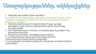 1. Անցկացնել կոյուղագծեր՝ նշված տարածքում
Գյուղապետարանի ճարտարապետ, նախագծող, առաջատար մասնագետ՝ Արամ
Սարգսյանն առաջարկում է շենքերի կոյուղին տանել և միացնել Արարատյան
փողոցի կոյուղագծերին։
2. Երևանյան լճից արաքար համայնքով անցնող Շադրլու ջրանցքը
ցամաքեցնել, աղբից ազատել, բացել խցանվածությունը, վերանորոգել,
տեղադրել ցանցեր։
3. Խիստ վերահսկողություն սահմանել, տուգանքներ կիրառել ջրանցքում աղբ
թափողների նկատմամբ:
4. Տեղադրել ցուցանակներ, տեսախցիկ, կարգել հսկիչներ։
5. Դաստիարակչական աշխատանք տանել բնակչության հետ՝
մանկավարժության միջոցով փոխելով վարքագիծը:
6. Համագործակցել համայնքի դպրոցների հետ, ներգրավել դասավանդողներին և
սովորողներին։
 