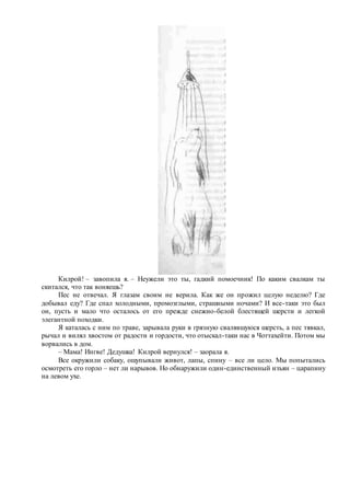 Килрой! – завопила я. – Неужели это ты, гадкий помоечник! По каким свалкам ты
скитался, что так воняешь?
Пес не отвечал. Я глазам своим не верила. Как же он прожил целую неделю? Где
добывал еду? Где спал холодными, промозглыми, страшными ночами? И все-таки это был
он, пусть и мало что осталось от его прежде снежно-белой блестящей шерсти и легкой
элегантной походки.
Я каталась с ним по траве, зарывала руки в грязную свалявшуюся шерсть, а пес тявкал,
рычал и вилял хвостом от радости и гордости, что отыскал-таки нас в Чоттахейти. Потом мы
ворвались в дом.
– Мама! Ингве! Дедушка! Килрой вернулся! – заорала я.
Все окружили собаку, ощупывали живот, лапы, спину – все ли цело. Мы попытались
осмотреть его горло – нет ли нарывов. Но обнаружили один-единственный изъян – царапину
на левом ухе.
 