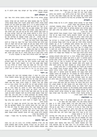 כאיל תערוג תשע"ז