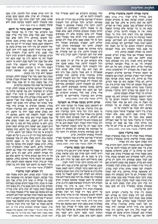 כאיל תערוג תשע"ז