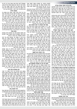 כאיל תערוג תשע"ז