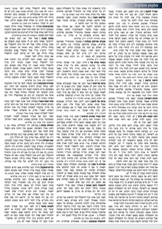 כאיל תערוג תשע"ז