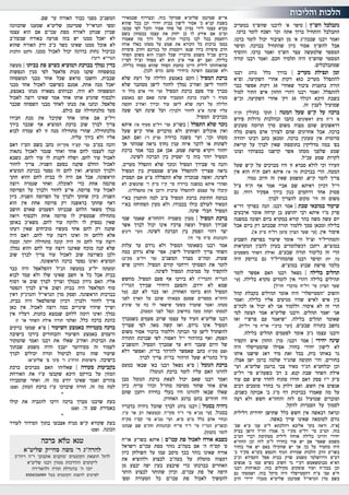 כאיל תערוג תשע"ז