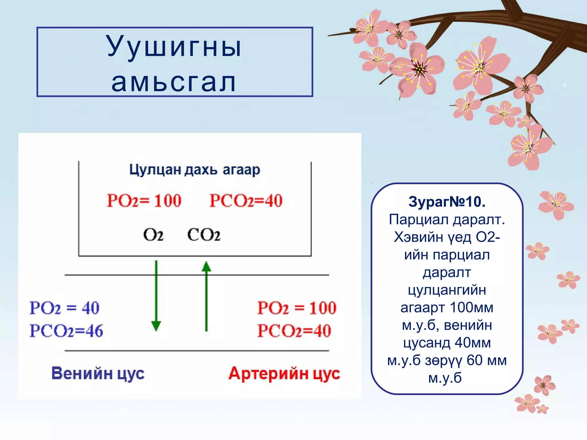 Амьсгал | PPT