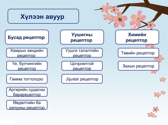 Амьсгал | PPT