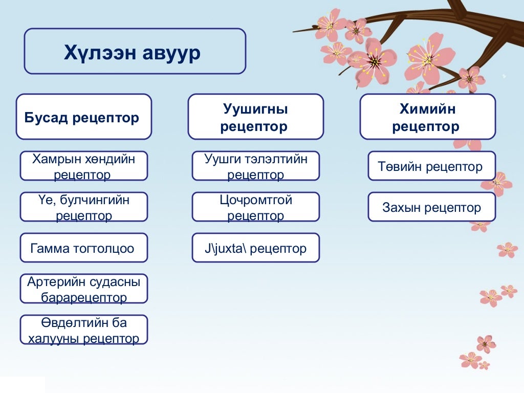 Амьсгал
