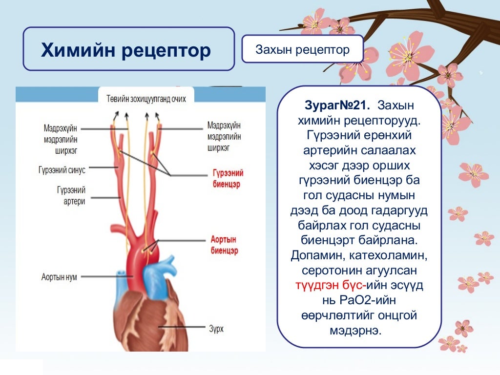 Амьсгал