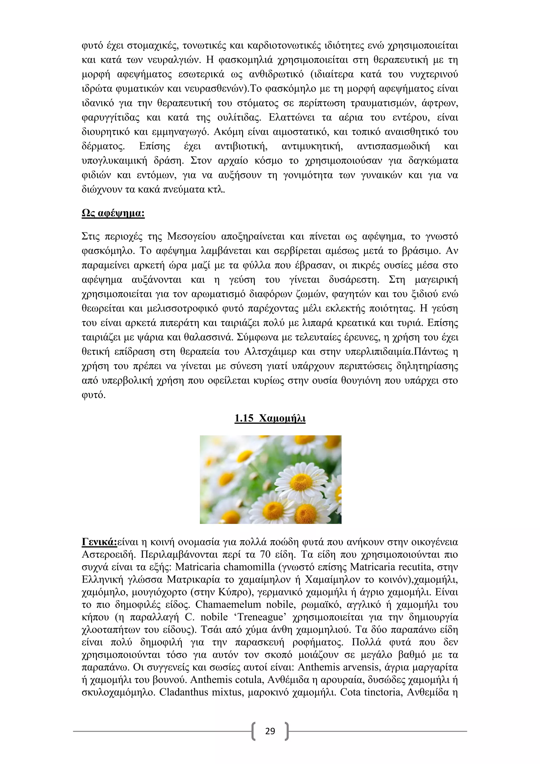 29
φυτό έχει στομαχικές, τονωτικές και καρδιοτονωτικές ιδιότητες ενώ χρησιμοποιείται
και κατά των νευραλγιών. Η φασκομηλιά χρησιμοποιείται στη θεραπευτική με τη
μορφή αφεψήματος εσωτερικά ως ανθιδρωτικό (ιδιαίτερα κατά του νυχτερινού
ιδρώτα φυματικών και νευρασθενών).Το φασκόμηλο με τη μορφή αφεψήματος είναι
ιδανικό για την θεραπευτική του στόματος σε περίπτωση τραυματισμών, άφτρων,
φαρυγγίτιδας και κατά της ουλίτιδας. Ελαττώνει τα αέρια του εντέρου, είναι
διουρητικό και εμμηναγωγό. Ακόμη είναι αιμοστατικό, και τοπικό αναισθητικό του
δέρματος. Επίσης έχει αντιβιοτική, αντιμυκητική, αντισπασμωδική και
υπογλυκαιμική δράση. Στον αρχαίο κόσμο το χρησιμοποιούσαν για δαγκώματα
φιδιών και εντόμων, για να αυξήσουν τη γονιμότητα των γυναικών και για να
διώχνουν τα κακά πνεύματα κτλ.
Ως αφέψημα:
Στις περιοχές της Μεσογείου αποξηραίνεται και πίνεται ως αφέψημα, το γνωστό
φασκόμηλο. Το αφέψημα λαμβάνεται και σερβίρεται αμέσως μετά το βράσιμο. Αν
παραμείνει αρκετή ώρα μαζί με τα φύλλα που έβρασαν, οι πικρές ουσίες μέσα στο
αφέψημα αυξάνονται και η γεύση του γίνεται δυσάρεστη. Στη μαγειρική
χρησιμοποιείται για τον αρωματισμό διαφόρων ζωμών, φαγητών και του ξιδιού ενώ
θεωρείται και μελισσοτροφικό φυτό παρέχοντας μέλι εκλεκτής ποιότητας. Η γεύση
του είναι αρκετά πιπεράτη και ταιριάζει πολύ με λιπαρά κρεατικά και τυριά. Επίσης
ταιριάζει με ψάρια και θαλασσινά. Σύμφωνα με τελευταίες έρευνες, η χρήση του έχει
θετική επίδραση στη θεραπεία του Αλτσχάιμερ και στην υπερλιπιδαιμία.Πάντως η
χρήση του πρέπει να γίνεται με σύνεση γιατί υπάρχουν περιπτώσεις δηλητηρίασης
από υπερβολική χρήση που οφείλεται κυρίως στην ουσία θουγιόνη που υπάρχει στο
φυτό.
1.15 Χαμομήλι
Γενικά:είναι η κοινή ονομασία για πολλά ποώδη φυτά που ανήκουν στην οικογένεια
Αστεροειδή. Περιλαμβάνονται περί τα 70 είδη. Τα είδη που χρησιμοποιούνται πιο
συχνά είναι τα εξής: Matricaria chamomilla (γνωστό επίσης Matricaria recutita, στην
Ελληνική γλώσσα Ματρικαρία το χαμαίμηλον ή Χαμαίμηλον το κοινόν),χαμομήλι,
χαμόμηλο, μουγιόχορτο (στην Κύπρο), γερμανικό χαμομήλι ή άγριο χαμομήλι. Είναι
το πιο δημοφιλές είδος. Chamaemelum nobile, ρωμαϊκό, αγγλικό ή χαμομήλι του
κήπου (η παραλλαγή C. nobile ‘Treneague’ χρησιμοποιείται για την δημιουργία
χλοοταπήτων του είδους). Τσάι από χύμα άνθη χαμομηλιού. Τα δύο παραπάνω είδη
είναι πολύ δημοφιλή για την παρασκευή ροφήματος. Πολλά φυτά που δεν
χρησιμοποιούνται τόσο για αυτόν τον σκοπό μοιάζουν σε μεγάλο βαθμό με τα
παραπάνω. Οι συγγενείς και σωσίες αυτοί είναι: Anthemis arvensis, άγρια μαργαρίτα
ή χαμομήλι του βουνού. Anthemis cotula, Ανθέμιδα η αρουραία, δυσώδες χαμομήλι ή
σκυλοχαμόμηλο. Cladanthus mixtus, μαροκινό χαμομήλι. Cota tinctoria, Ανθεμίδα η
 