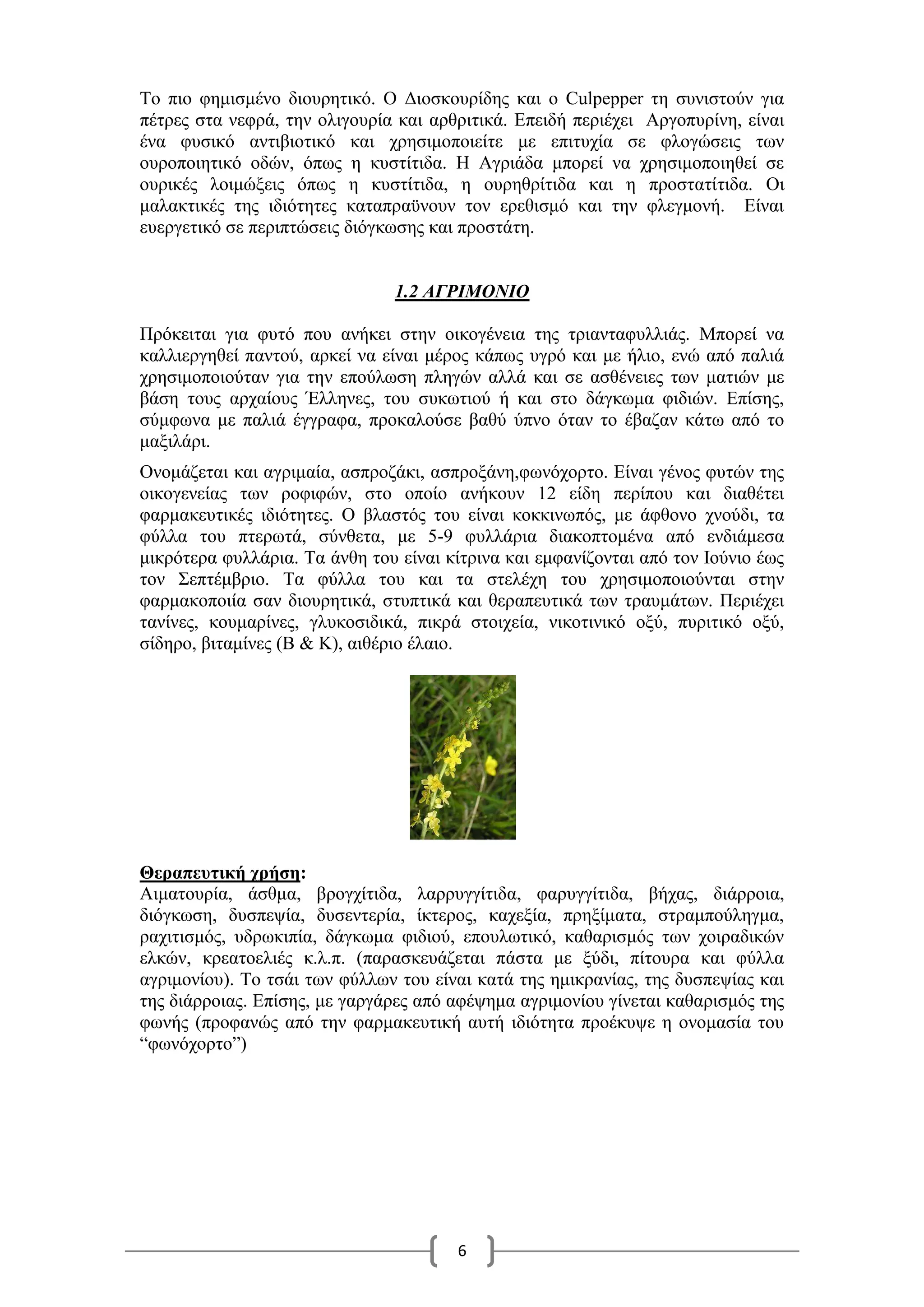 6
Το πιο φημισμένο διουρητικό. Ο Διοσκουρίδης και ο Culpepper τη συνιστούν για
πέτρες στα νεφρά, την ολιγουρία και αρθριτικά. Επειδή περιέχει Αργοπυρίνη, είναι
ένα φυσικό αντιβιοτικό και χρησιμοποιείτε με επιτυχία σε φλογώσεις των
ουροποιητικό οδών, όπως η κυστίτιδα. Η Αγριάδα μπορεί να χρησιμοποιηθεί σε
ουρικές λοιμώξεις όπως η κυστίτιδα, η ουρηθρίτιδα και η προστατίτιδα. Οι
μαλακτικές της ιδιότητες καταπραϋνουν τον ερεθισμό και την φλεγμονή. Είναι
ευεργετικό σε περιπτώσεις διόγκωσης και προστάτη.
1.2 ΑΓΡΙΜΟΝΙΟ
Πρόκειται για φυτό που ανήκει στην οικογένεια της τριανταφυλλιάς. Μπορεί να
καλλιεργηθεί παντού, αρκεί να είναι μέρος κάπως υγρό και με ήλιο, ενώ από παλιά
χρησιμοποιούταν για την επούλωση πληγών αλλά και σε ασθένειες των ματιών με
βάση τους αρχαίους Έλληνες, του συκωτιού ή και στο δάγκωμα φιδιών. Επίσης,
σύμφωνα με παλιά έγγραφα, προκαλούσε βαθύ ύπνο όταν το έβαζαν κάτω από το
μαξιλάρι.
Ονομάζεται και αγριμαία, ασπροζάκι, ασπροξάνη,φωνόχορτο. Είναι γένος φυτών της
οικογενείας των ροφιφών, στο οποίο ανήκουν 12 είδη περίπου και διαθέτει
φαρμακευτικές ιδιότητες. Ο βλαστός του είναι κοκκινωπός, με άφθονο χνούδι, τα
φύλλα του πτερωτά, σύνθετα, με 5-9 φυλλάρια διακοπτομένα από ενδιάμεσα
μικρότερα φυλλάρια. Τα άνθη του είναι κίτρινα και εμφανίζονται από τον Ιούνιο έως
τον Σεπτέμβριο. Τα φύλλα του και τα στελέχη του χρησιμοποιούνται στην
φαρμακοποιία σαν διουρητικά, στυπτικά και θεραπευτικά των τραυμάτων. Περιέχει
τανίνες, κουμαρίνες, γλυκοσιδικά, πικρά στοιχεία, νικοτινικό οξύ, πυριτικό οξύ,
σίδηρο, βιταμίνες (Β & Κ), αιθέριο έλαιο.
Θεραπευτική χρήση:
Αιματουρία, άσθμα, βρογχίτιδα, λαρρυγγίτιδα, φαρυγγίτιδα, βήχας, διάρροια,
διόγκωση, δυσπεψία, δυσεντερία, ίκτερος, καχεξία, πρηξίματα, στραμπούληγμα,
ραχιτισμός, υδρωκιπία, δάγκωμα φιδιού, επουλωτικό, καθαρισμός των χοιραδικών
ελκών, κρεατοελιές κ.λ.π. (παρασκευάζεται πάστα με ξύδι, πίτουρα και φύλλα
αγριμονίου). Το τσάι των φύλλων του είναι κατά της ημικρανίας, της δυσπεψίας και
της διάρροιας. Επίσης, με γαργάρες από αφέψημα αγριμονίου γίνεται καθαρισμός της
φωνής (προφανώς από την φαρμακευτική αυτή ιδιότητα προέκυψε η ονομασία του
“φωνόχορτο”)
 