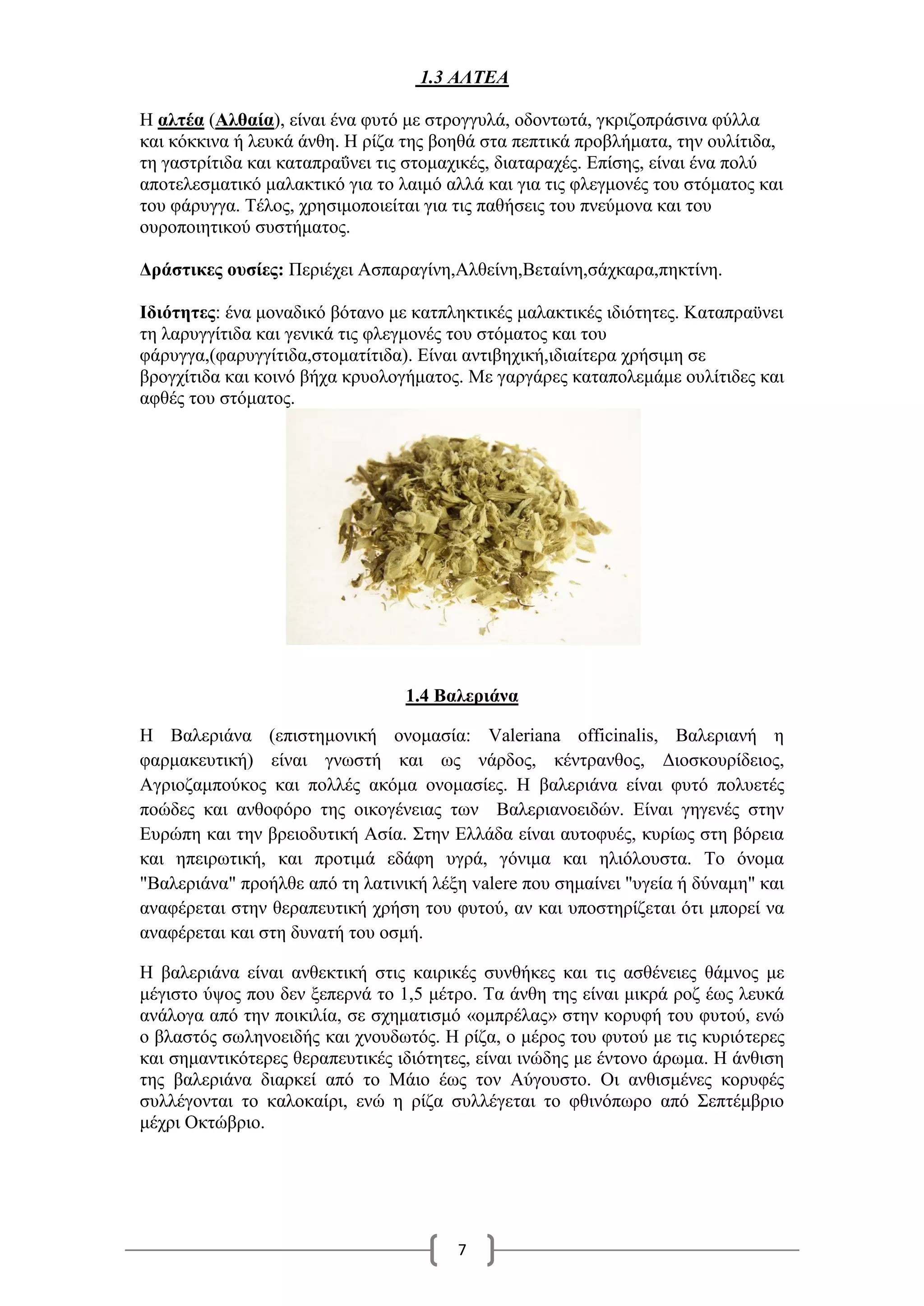 7
1.3 ΑΛΤΕΑ
Η αλτέα (Αλθαία), είναι ένα φυτό με στρογγυλά, οδοντωτά, γκριζοπράσινα φύλλα
και κόκκινα ή λευκά άνθη. Η ρίζα της βοηθά στα πεπτικά προβλήματα, την ουλίτιδα,
τη γαστρίτιδα και καταπραΰνει τις στομαχικές, διαταραχές. Επίσης, είναι ένα πολύ
αποτελεσματικό μαλακτικό για το λαιμό αλλά και για τις φλεγμονές του στόματος και
του φάρυγγα. Τέλος, χρησιμοποιείται για τις παθήσεις του πνεύμονα και του
ουροποιητικού συστήματος.
Δράστικες ουσίες: Περιέχει Ασπαραγίνη,Αλθείνη,Βεταίνη,σάχκαρα,πηκτίνη.
Ιδιότητες: ένα μοναδικό βότανο με κατπληκτικές μαλακτικές ιδιότητες. Καταπραϋνει
τη λαρυγγίτιδα και γενικά τις φλεγμονές του στόματος και του
φάρυγγα,(φαρυγγίτιδα,στοματίτιδα). Είναι αντιβηχική,ιδιαίτερα χρήσιμη σε
βρογχίτιδα και κοινό βήχα κρυολογήματος. Με γαργάρες καταπολεμάμε ουλίτιδες και
αφθές του στόματος.
1.4 Βαλεριάνα
Η Βαλεριάνα (επιστημονική ονομασία: Valeriana officinalis, Βαλεριανή η
φαρμακευτική) είναι γνωστή και ως νάρδος, κέντρανθος, Διοσκουρίδειος,
Αγριοζαμπούκος και πολλές ακόμα ονομασίες. Η βαλεριάνα είναι φυτό πολυετές
ποώδες και ανθοφόρο της οικογένειας των Βαλεριανοειδών. Είναι γηγενές στην
Ευρώπη και την βρειοδυτική Ασία. Στην Ελλάδα είναι αυτοφυές, κυρίως στη βόρεια
και ηπειρωτική, και προτιμά εδάφη υγρά, γόνιμα και ηλιόλουστα. Το όνομα
"Βαλεριάνα" προήλθε από τη λατινική λέξη valere που σημαίνει "υγεία ή δύναμη" και
αναφέρεται στην θεραπευτική χρήση του φυτού, αν και υποστηρίζεται ότι μπορεί να
αναφέρεται και στη δυνατή του οσμή.
Η βαλεριάνα είναι ανθεκτική στις καιρικές συνθήκες και τις ασθένειες θάμνος με
μέγιστο ύψος που δεν ξεπερνά το 1,5 μέτρο. Τα άνθη της είναι μικρά ροζ έως λευκά
ανάλογα από την ποικιλία, σε σχηματισμό «ομπρέλας» στην κορυφή του φυτού, ενώ
ο βλαστός σωληνοειδής και χνουδωτός. Η ρίζα, ο μέρος του φυτού με τις κυριότερες
και σημαντικότερες θεραπευτικές ιδιότητες, είναι ινώδης με έντονο άρωμα. Η άνθιση
της βαλεριάνα διαρκεί από το Μάιο έως τον Αύγουστο. Οι ανθισμένες κορυφές
συλλέγονται το καλοκαίρι, ενώ η ρίζα συλλέγεται το φθινόπωρο από Σεπτέμβριο
μέχρι Οκτώβριο.
 