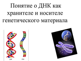 Понятие о ДНК как
хранителе и носителе
генетического материала
 