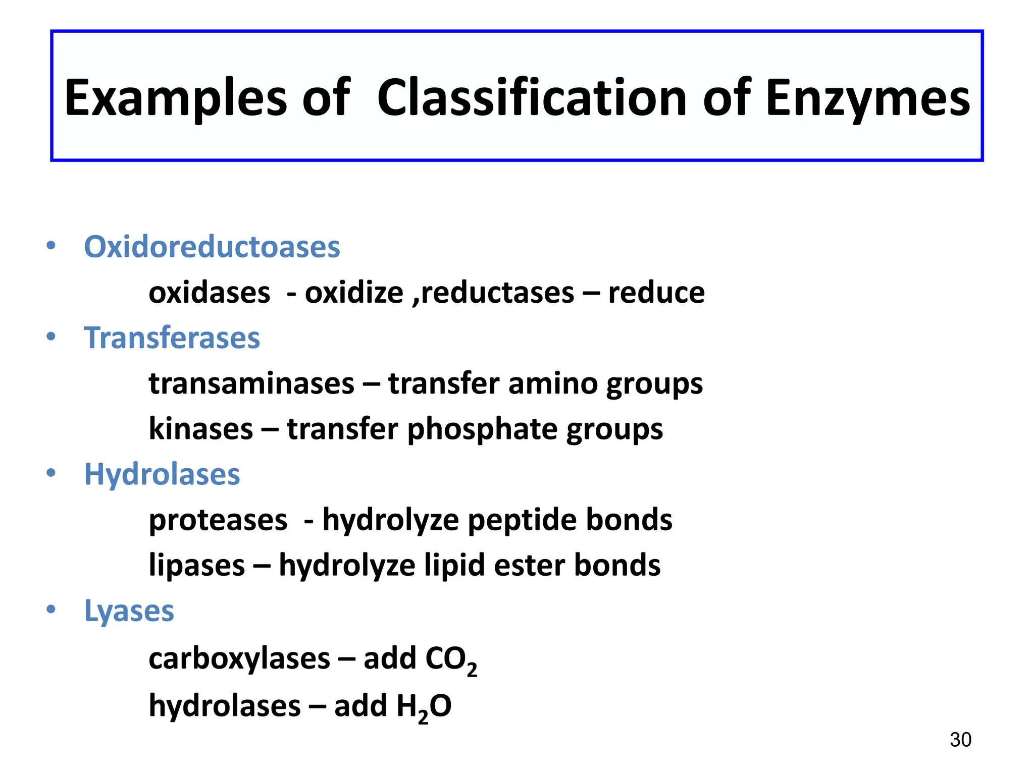 Examples of Classification of Enzymes
• Oxidoreductoases
oxidases - oxidize ,reductases – reduce
• Transferases
transaminases – transfer amino groups
kinases – transfer phosphate groups
• Hydrolases
proteases - hydrolyze peptide bonds
lipases – hydrolyze lipid ester bonds
• Lyases
carboxylases – add CO2
hydrolases – add H2O
30
 