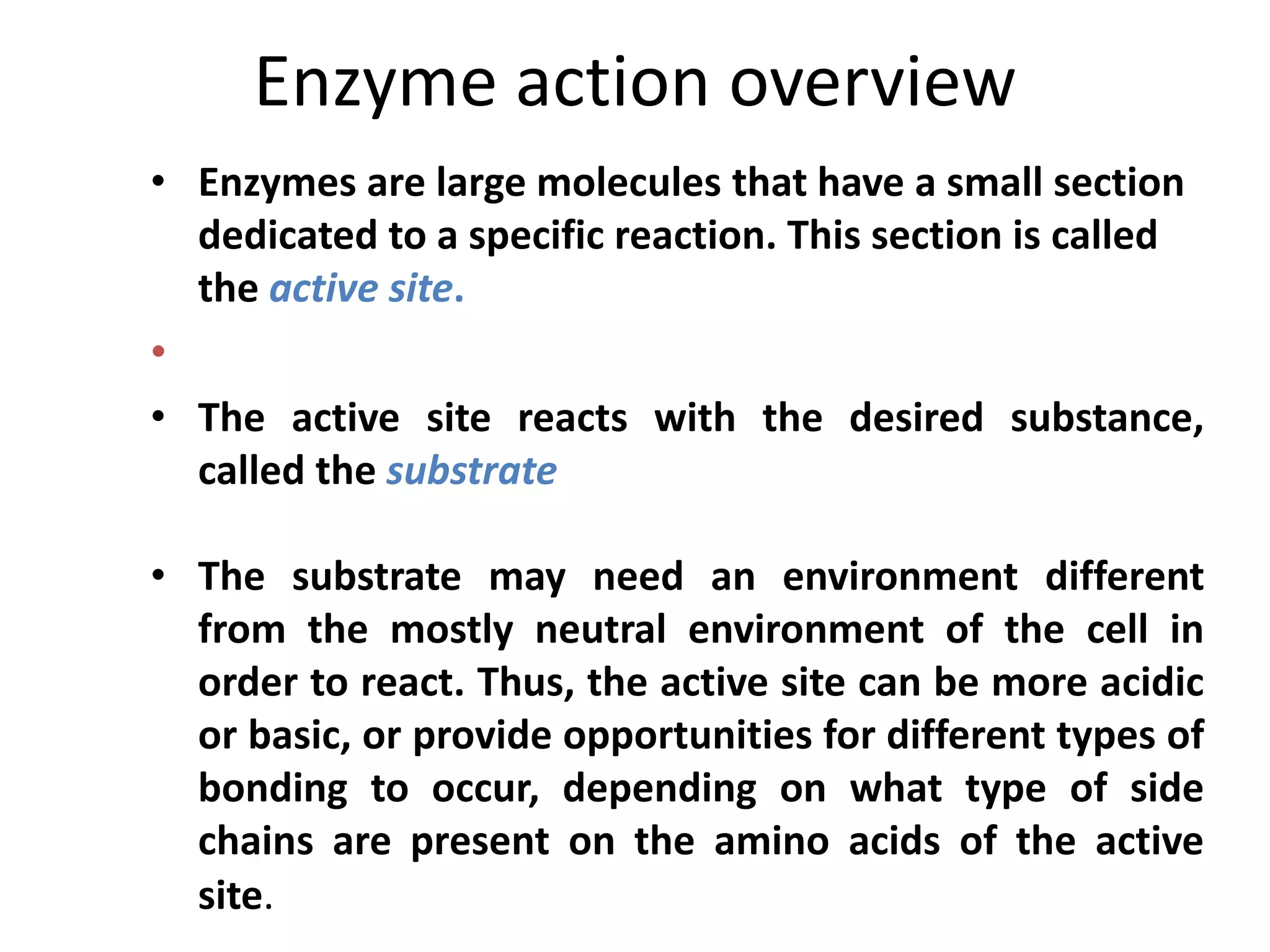 Enzyme action overview
• Enzymes are large molecules that have a small section
dedicated to a specific reaction. This section is called
the active site.
•
• The active site reacts with the desired substance,
called the substrate
• The substrate may need an environment different
from the mostly neutral environment of the cell in
order to react. Thus, the active site can be more acidic
or basic, or provide opportunities for different types of
bonding to occur, depending on what type of side
chains are present on the amino acids of the active
site.
 