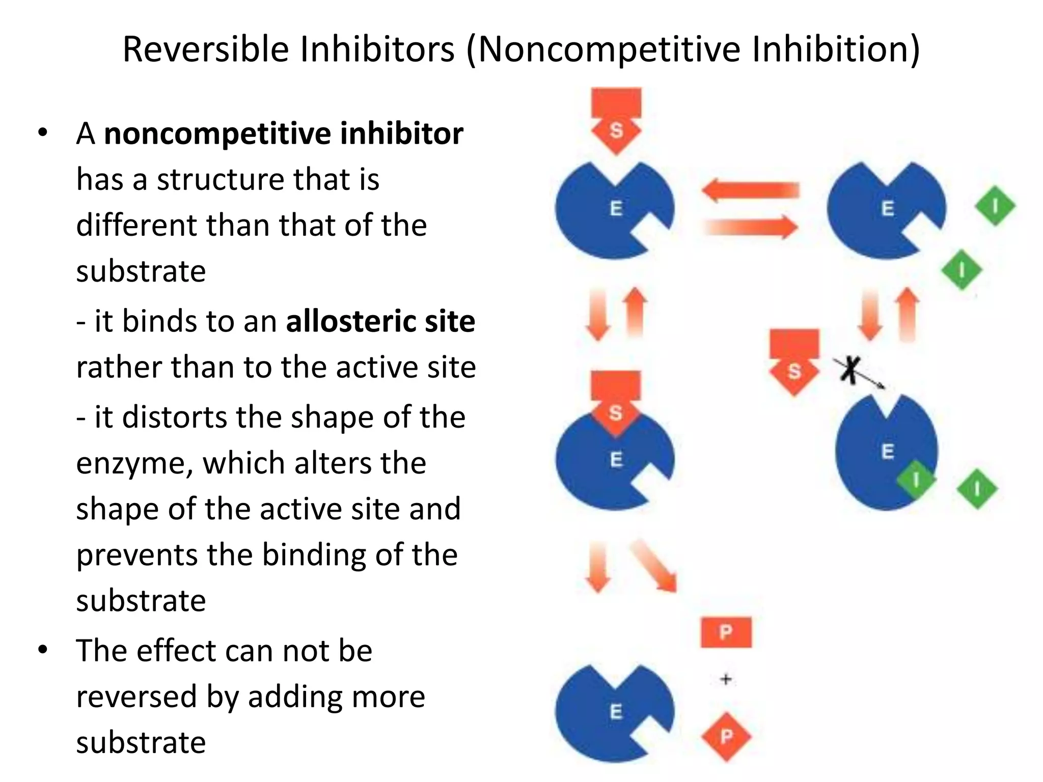 Reversible Inhibitors (Noncompetitive Inhibition)
• A noncompetitive inhibitor
has a structure that is
different than that of the
substrate
- it binds to an allosteric site
rather than to the active site
- it distorts the shape of the
enzyme, which alters the
shape of the active site and
prevents the binding of the
substrate
• The effect can not be
reversed by adding more
substrate
 