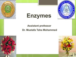 Enzymes
Assistant professor
Dr. Mustafa Taha Mohammed
 
