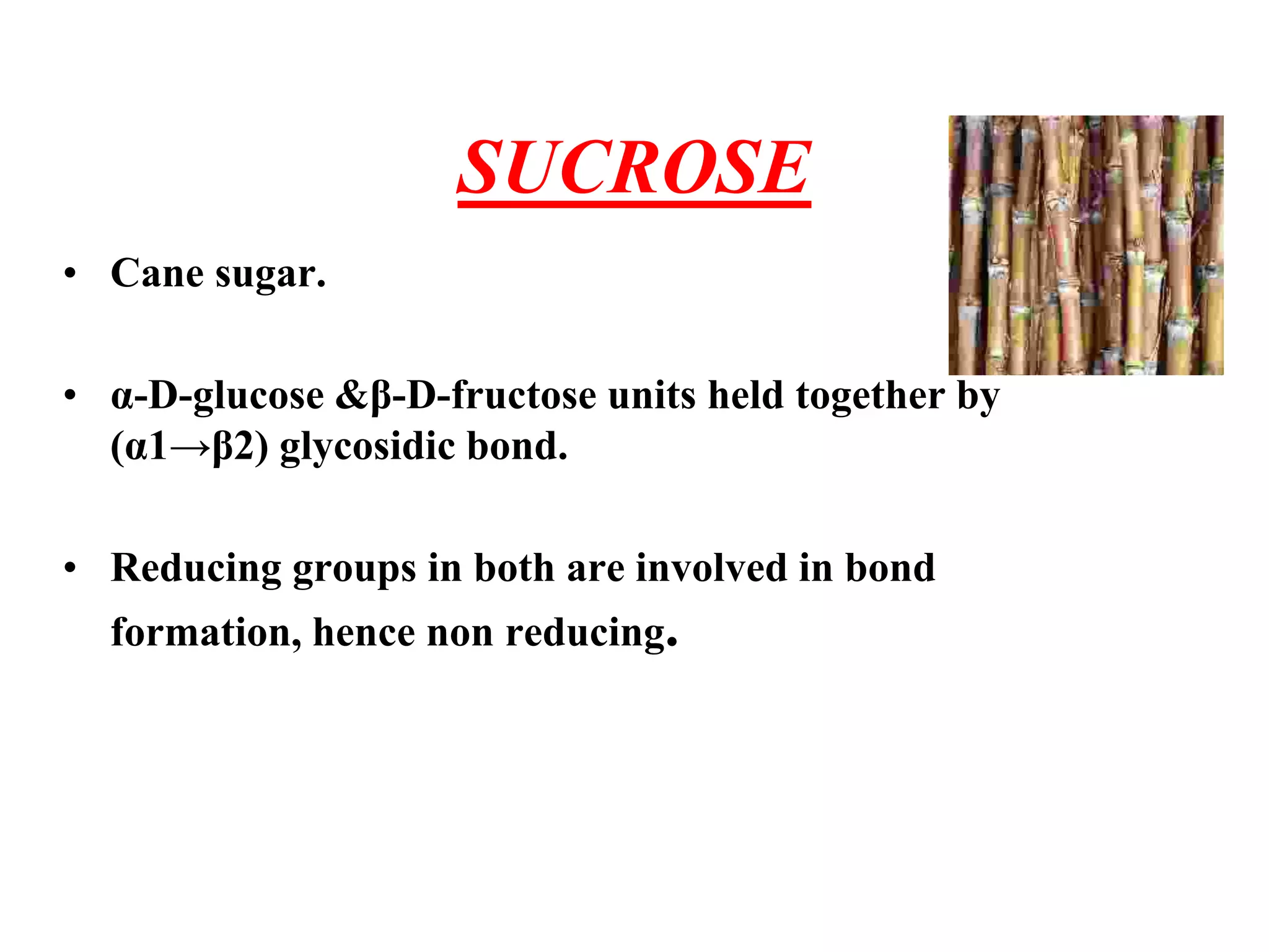 SUCROSE
• Cane sugar.
• α-D-glucose &β-D-fructose units held together by
(α1→β2) glycosidic bond.
• Reducing groups in both are involved in bond
formation, hence non reducing.
 