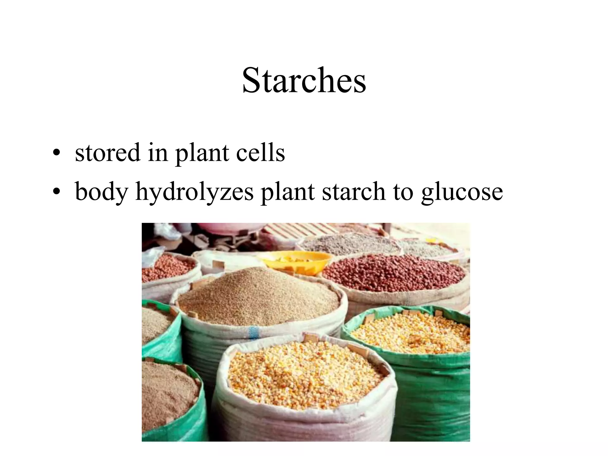 Starches
• stored in plant cells
• body hydrolyzes plant starch to glucose
 