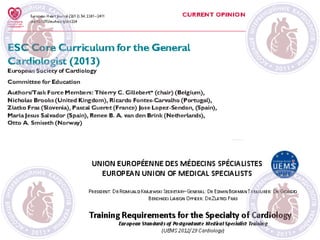 Структура «Реперфузионной Сети» Чешской Республики. Первичное стентирование для всех STEMI пациентов страны. Петр Видимский