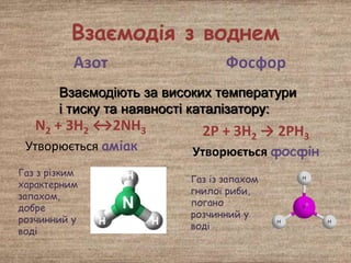 Взаємодія з воднем
Азот
N2 + 3H2 ↔2NH3
Утворюється аміак
Фосфор
2Р + 3Н2 → 2РН3
Утворюється фосфін
Взаємодіють за високих температури
і тиску та наявності каталізатору:
Газ з різким
характерним
запахом,
добре
розчинний у
воді
Газ із запахом
гнилої риби,
погано
розчинний у
воді
 