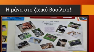 Η μάνα στο ζωικό βασίλειο!
 