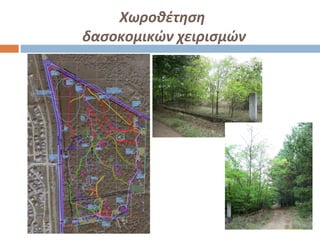 Χωροθέτηση
δασοκομικών χειρισμών
 