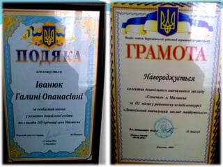 днз с. малинськ 2017 