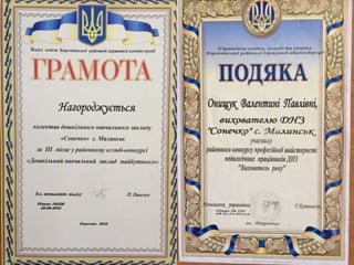 днз с. малинськ 2017 