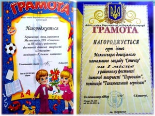 днз с. малинськ 2017 