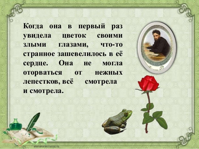 Гаршин о жабе и розе кратко. Гаршин о жабе и розе кратко