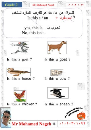 1
Grade 1
Mr Mohamed Nageh ٠١٠١٠٣٠١٠٩٢
Mr Mohamed Nageh ٠١٠١٠٣٠١٠٩٢Grade 2
Is this a goat ?Is this a goat ?
Is this a cow ?Is this a horse ?
Is this a sheep ?Is this a chicken ?
‫ﺗﺴﺘﺨﺪم‬ ‫ﻟﻠﻤﻔﺮد‬ ‫ﻟﻠﻘﺮﯾﺐ‬ ‫ھﻮ‬ ‫ھﺬا‬ ‫ھﻞ‬ ‫ﻋﻦ‬ ‫ﻟﻠﺴﺆال‬
Is this a / an + ‫ﻣﻔﺮد‬ ‫اﺳﻢ‬ ?
yes, this is . ‫ب‬ ‫ﻧﺠﺎوب‬
No, this isn't .
46
 