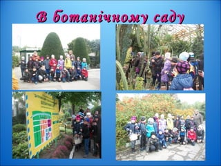 В ботанічному садуВ ботанічному саду
 