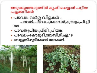 അടുക്കളഫതാട്ടതില്‍ കൃഷി ്ചയ്ാന്‍ പറ്റിയ
പച്ചക്കറികള്‍
 പടവല വര്ഗ വിളകള്‍ -
പാവല്‍,പടവലം,ഫകാവല്‍,കുമ്പളം,പീച്ചി
ങ്ങ
 പാവല്‍-്പിയ,്പീതി,്പിയങ്ക
 പടവലം-്കൌമുദി,ഫബബി,ടി.എ.19
 ്വള്ളരി–മുടിഫക്കാ് ഫലാക്കല്‍
 