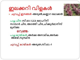 ഇലക്കറി വിളകള്‍
 ചുവപ്പ് ഇനങ്ങള്‍ -അരുണ്‍,കണ്ണാറ ഫലാക്കല്‍
പച്ച ചീര –സി.ഓ.1,2,3; ഫമാഹിനി
സാമ്പാര് ചീര, അ്തി ചീര,ചിക്കുര്മാനിസ
മുരിങ്ങ
്വണ്ട-
പച്ച കായ്കള്‍ -അര്ക്ക അനാമിക,അര്ക്ക
അഭയ്,സുസ്ഥിര
ചുവപ്പ് കായ്കള്‍ -അരുണ,സി.ഓ.-1
 