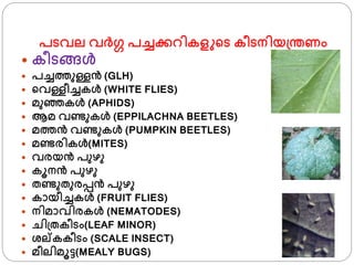 പടവല വര്ഗ പച്ചക്കറികള ്ട കീടനിയ്ന്തണം
 കീടങ്ങള്‍
 പച്ചതുള്ളന്‍ (GLH)
 ്വള്ളീച്ചകള്‍ (WHITE FLIES)
 മുഞ്ഞകള്‍ (APHIDS)
 ആമ വണ്ടുകള്‍ (EPPILACHNA BEETLES)
 മതന്‍ വണ്ടുകള്‍ (PUMPKIN BEETLES)
 മണ്ടരികള്‍(MITES)
 വരയന്‍ പുഴു
 കൂനന്‍ പുഴു
 തണ്ടുതുരപ്പന്‍ പുഴു
 കായീച്ചകള്‍ (FRUIT FLIES)
 നിമാവിരകള്‍ (NEMATODES)
 ചി്തകീടം(LEAF MINOR)
 ശ്ല്കകീടം (SCALE INSECT)
 മീലിമൂട്ട(MEALY BUGS)
 