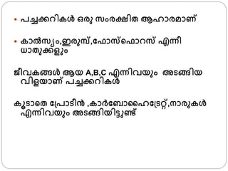  പച്ചക്കറികള്‍ ഒരു സംരക്ഷിത ആഹാരമാണ
 കാല്‍സയം,ഇരുമ്പ്,ഫഫാസ്ഫാറസ എന്നീ
ധാതുക്കള ം
ൈീവകങ്ങള്‍ ആയ A,B,C എന്നിവയും അടങ്ങിയ
വിളയാണ പച്ചക്കറികള്‍
കൂടാ്ത ഫ്പാടീന്‍ ,കാര്ഫബാജഹഫ്ടറ്റ്,നാരുകള്‍
എന്നിവയും അടങ്ങിയിട്ട ണ്ട്
 